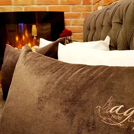 Agit Congress&spa 酒店 卢布林